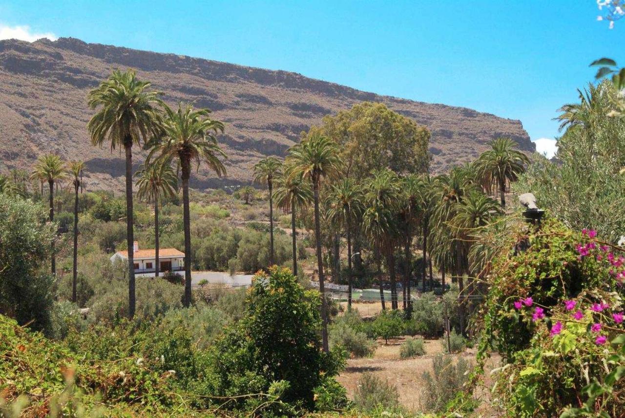 El Olivar La Molienda